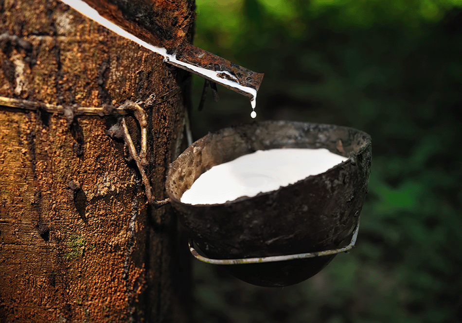 What Raw Materials Are Used To Make Rubber 1